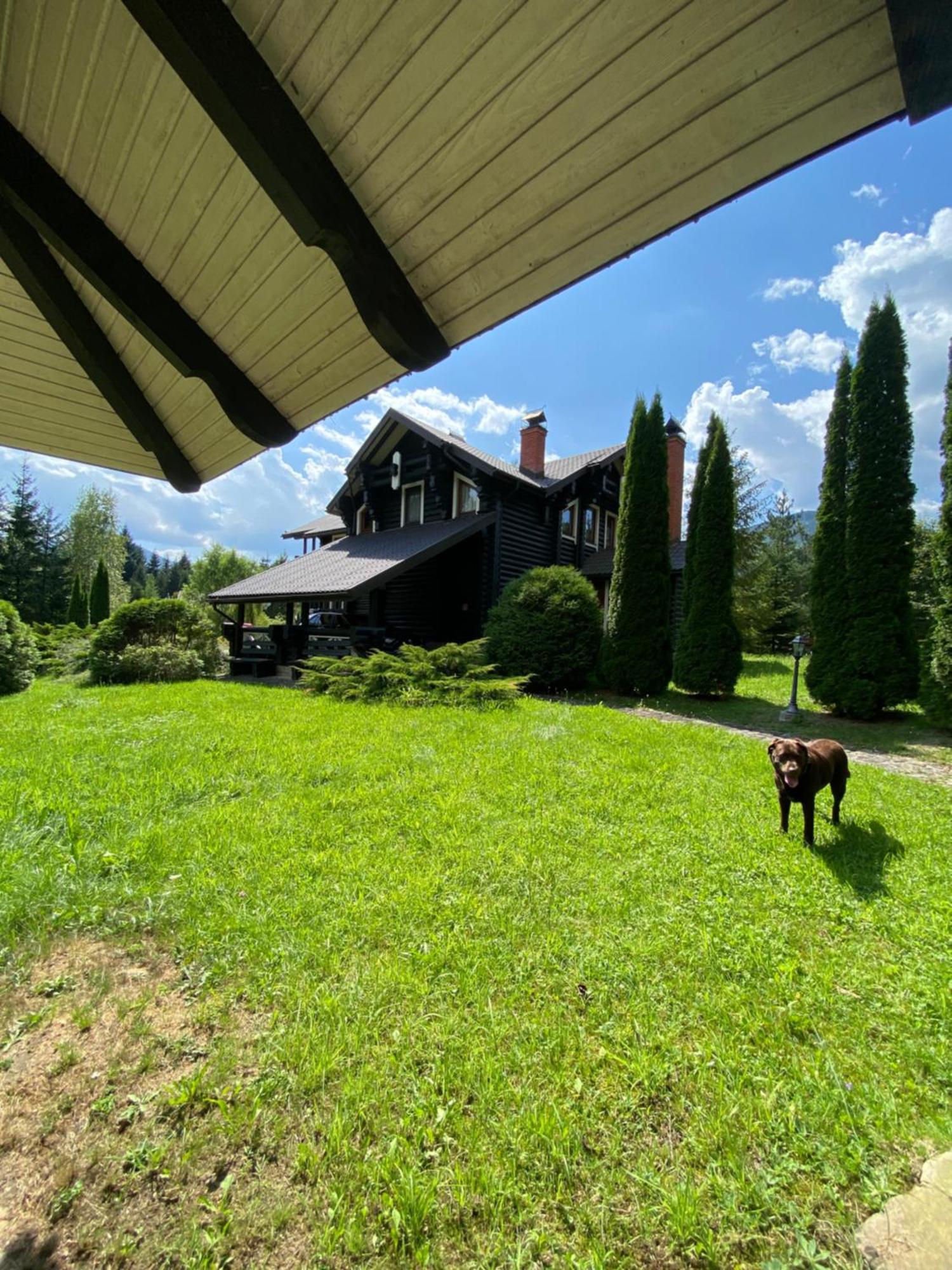 Relaxation In Guta Гута Покращене Шале Exterior foto