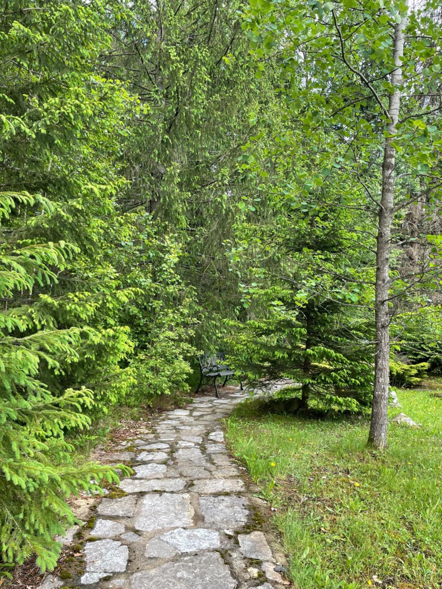Relaxation In Guta Гута Покращене Шале Exterior foto